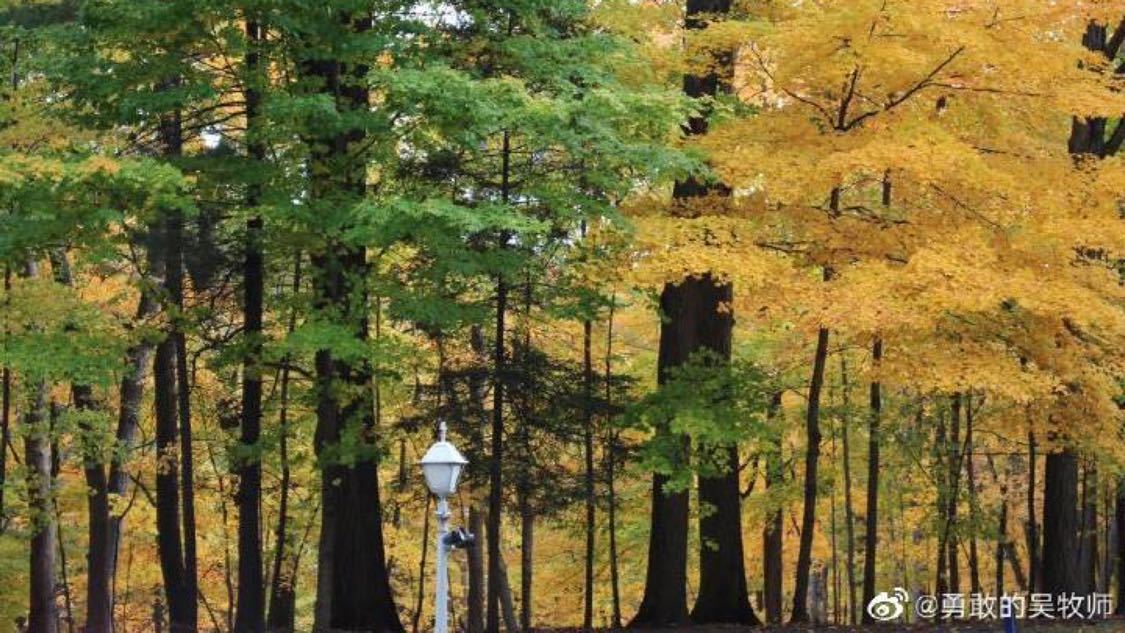 快手自助下单平台24小时网站