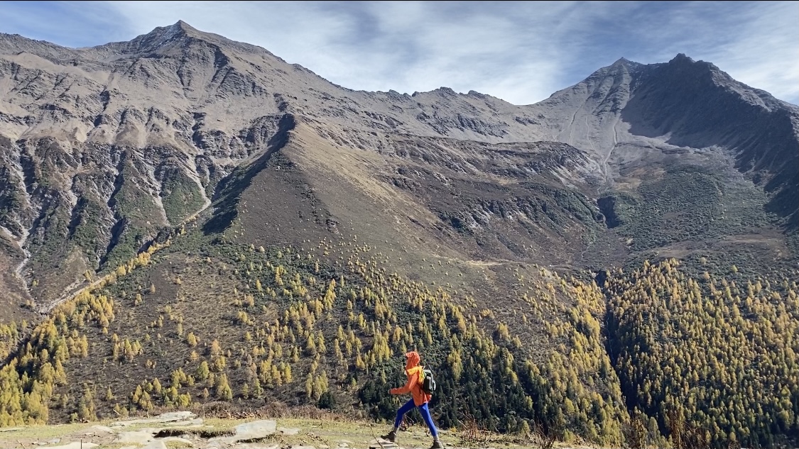 快手免费涨8000粉丝